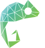 Digital Chameleon logo