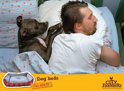 Dog beds - Publicidad