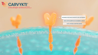 Carvykti - MOA video - Advertising