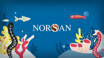 Norsan - Animationsfilme für Omega-3-Produkte - Markenbildung & Positionierung