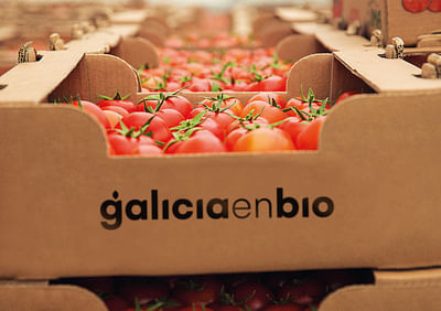 Rebranding Galicia en Bio