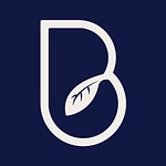 Bluum Agency