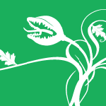 Mouth Media logo