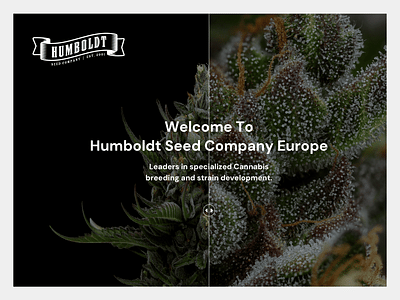 Humboldt: Líder en Semillas de Cannabis Orgánico - Creación de Sitios Web