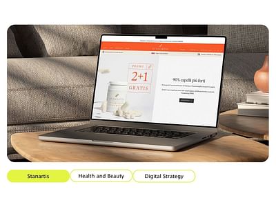 Stanartis - Digital Strategy - E-Mail Marketing