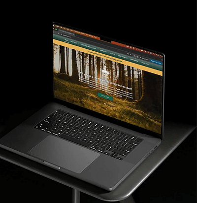 Building an Online Presence for Logie Timber - Digital Strategy