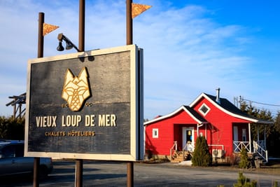 Vieux loup de mer - Référencement naturel