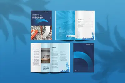 Préserver les écosystèmes marins avec OCEANA - Design & graphisme