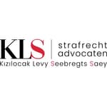 Seebregts en Saey Strafrechtadvocaten logo