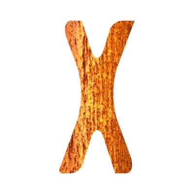 Dorèl Xtra Bold