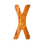 Dorèl Xtra Bold logo