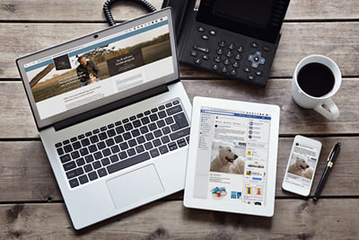 Online advertising Cas Training & Rehabilitatie - Online Advertising