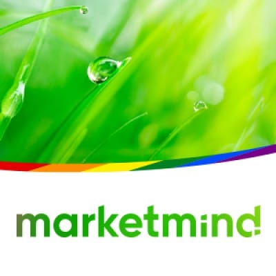 MarketMind Interactive. Response & Result Consultancy!