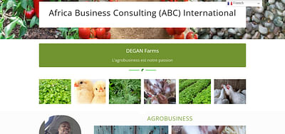 Africa Biz Consulting - Website Creatie