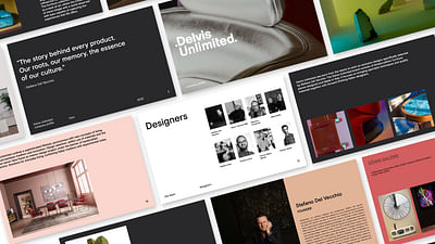 .Delvis Unlimited. | Brochure - Graphic Design