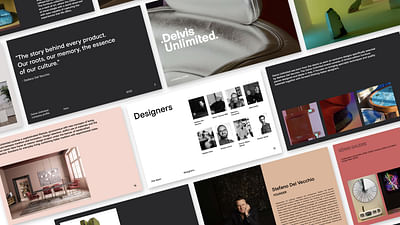 .Delvis Unlimited. | Brochure - Grafikdesign
