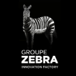 Groupe Zebra logo