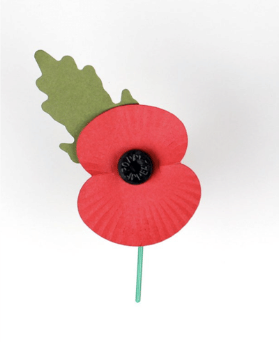 The new paper poppy - Branding & Positioning