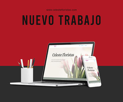 Web para Celeste Floristas - Webseitengestaltung