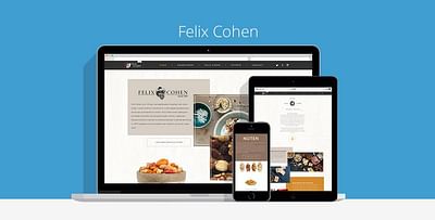 Felix Cohen - E-commerce