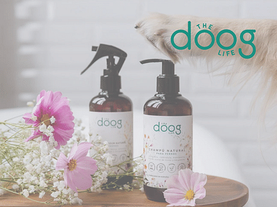 THE DOOG LIFE - Référencement naturel