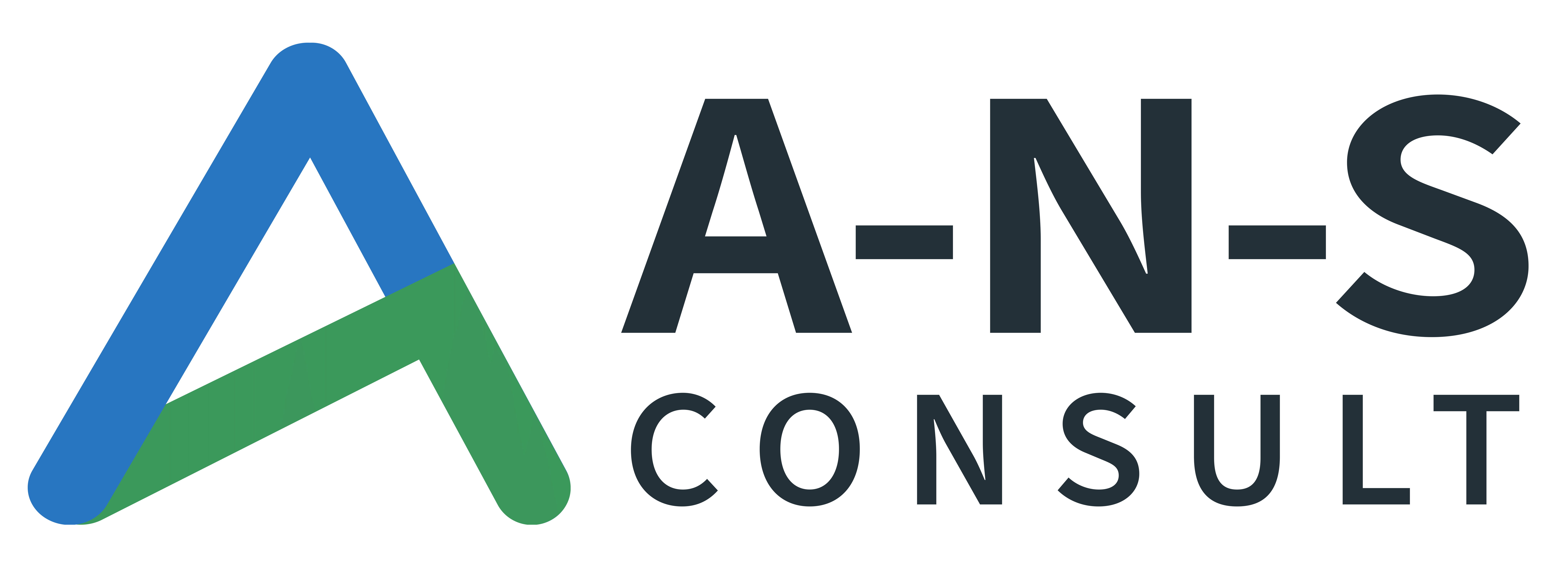 A-N-S Consult