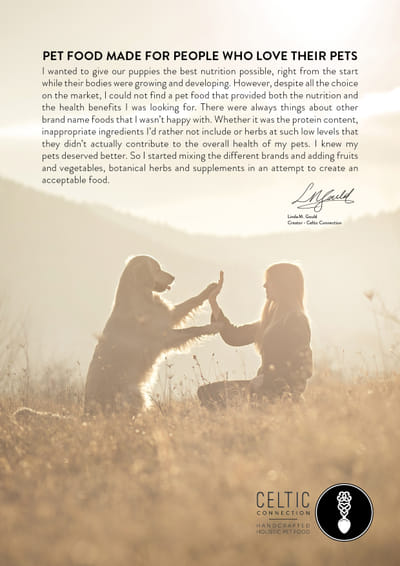 Celtic Connection brand identity - Website Creatie