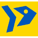 Digital Fish Insights logo