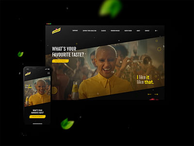 Schweppes - A premium brand and experience - Website Creation