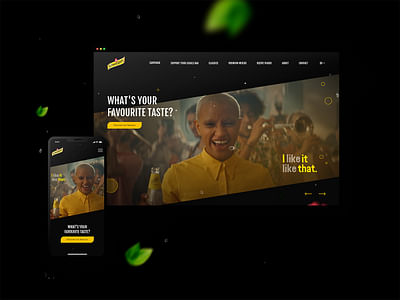 Schweppes - A premium brand and experience - Website Creatie