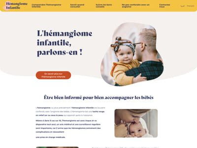 Création du site web de Pierre Fabre - Creación de Sitios Web