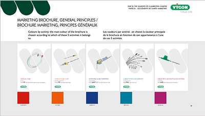 CHARTE GRAPHIQUE INTERNATIONALE VYGON - Identité Graphique