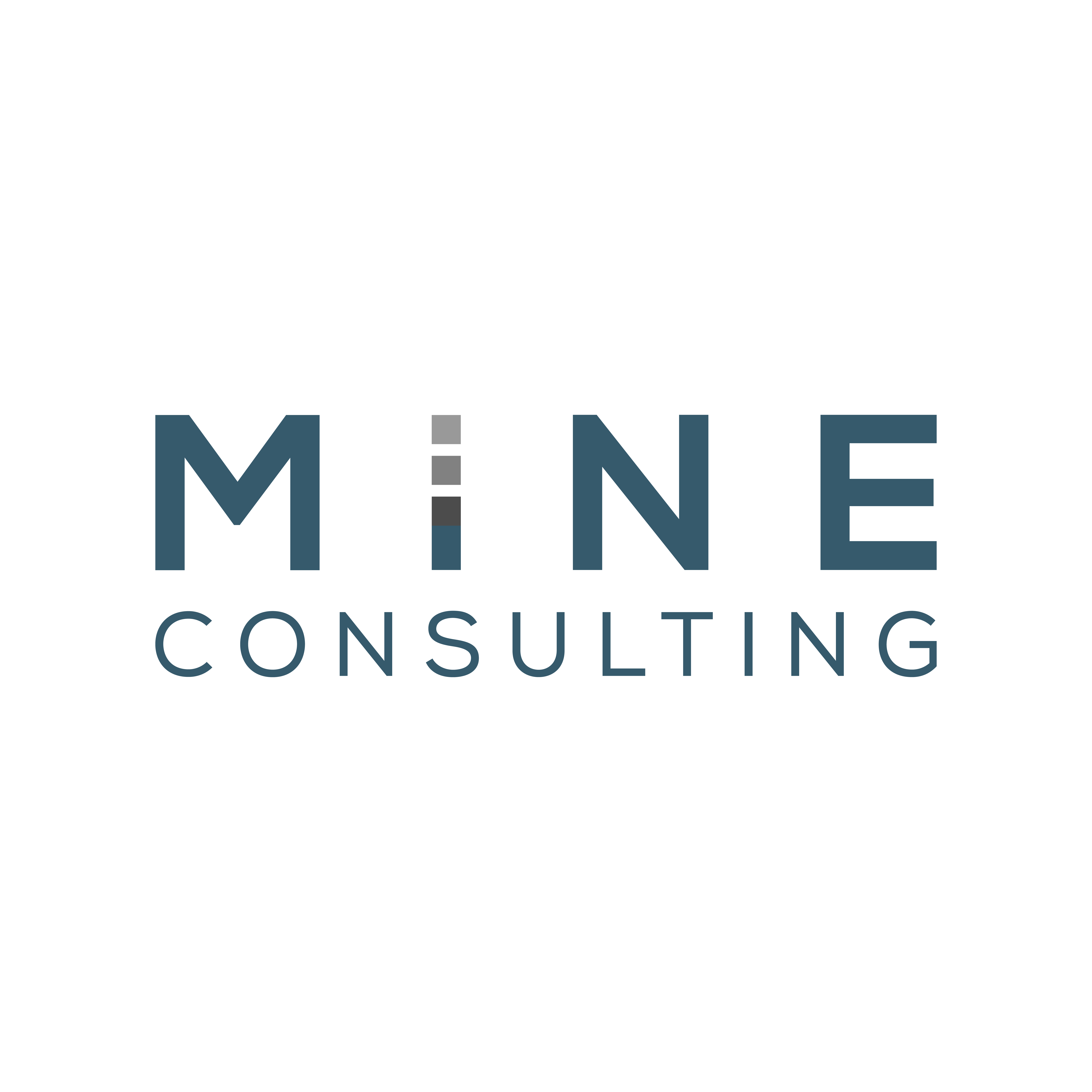 Mine consulting srl