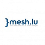 Mesh logo