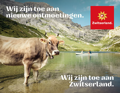 Hypertargeting Recovery Campagne voor Zwitserland - Digital Strategy