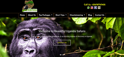 Website Design for Beautiful Uganda Safari - Website Creation