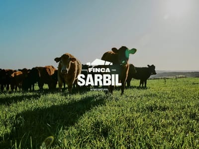 Finca Sarbil. Honest, free, conscious. - Branding y posicionamiento de marca