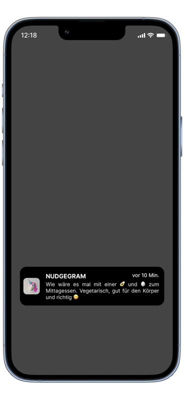Nudgegram - Mobile App