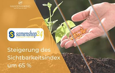 SEO Case Study - samenshop24 - Référencement naturel