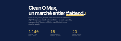 Audit présence digitale - Référencement naturel