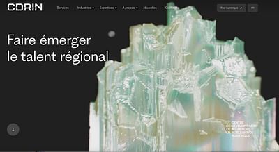 Site web CDRIN - Website Creation