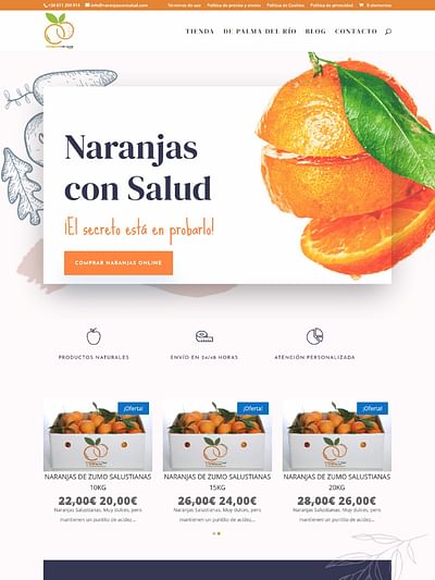 Web naranjas con saludo ordenador - Creación de Sitios Web