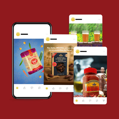 Campagnes publicitaires pour un acteur de l'agroalimentaire ethnique - Stratégie de contenu