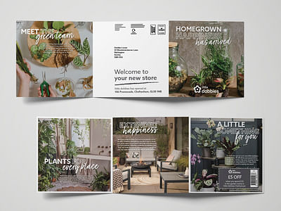 Promotional direct mail - Content Strategy