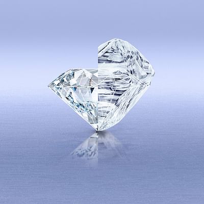 Rosy Blue visual concept - Design & graphisme