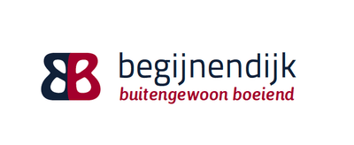Strategie en communicatie Gemeente Begijnendijk - Stratégie digitale