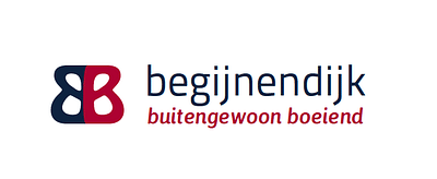 Strategie en communicatie Gemeente Begijnendijk - Digital Strategy