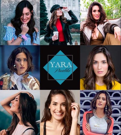 Diseño y desarrollo web Yara Puebla - SEO
