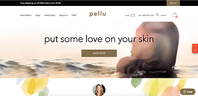 Pellu - Web Development - Ontwerp