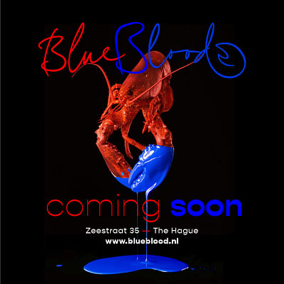 PR & Communicatie opening BlueBlood - Branding y posicionamiento de marca